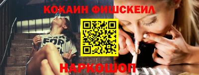 индика Можга