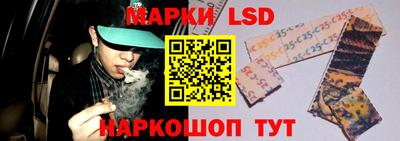 индика Можга
