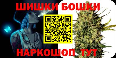 индика Можга