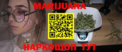 индика Можга