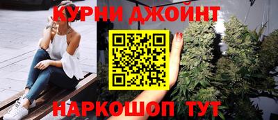 индика Можга