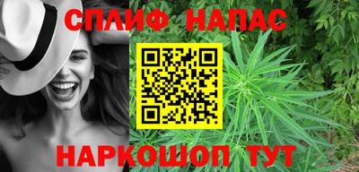 индика Можга