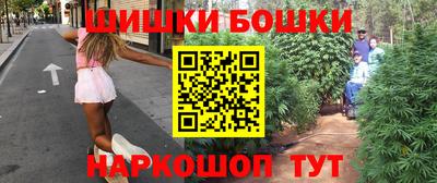 индика Можга