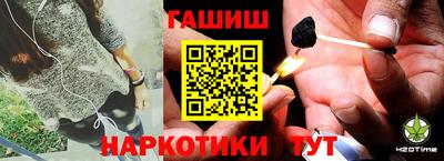 индика Можга